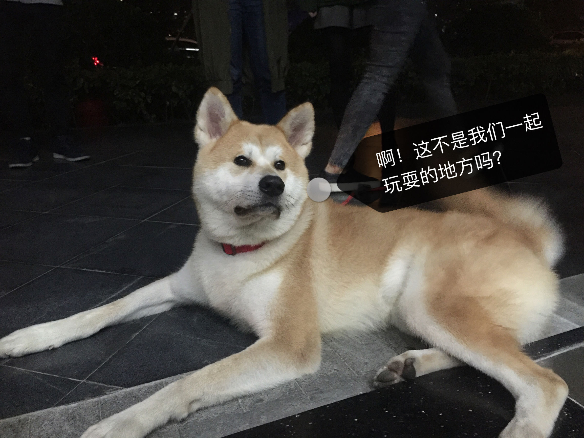 明天就是情人节了图文,明天就是情人节图片