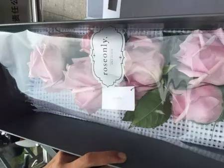 对不起，情人节老娘不收roseonly