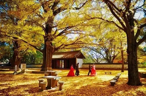 从武汉出发，坐火车就能去四国旅游，Get超强攻略！