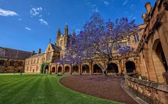 迷倒万千留学*党**的不仅是颜值：悉尼大学