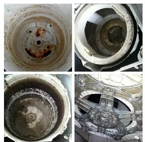 洗衣机半年不用会坏吗,洗衣机半年不洗有多脏