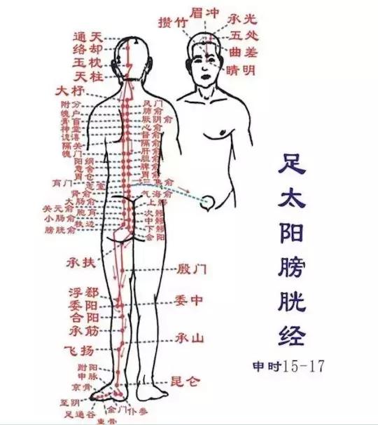 经络调理秘诀小程序,经络治百病