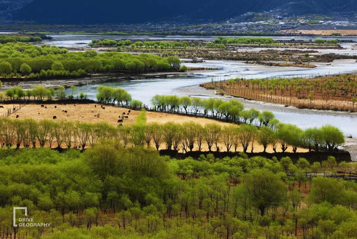连联合国都赞不绝口的百里桃花，你真的不带她看一下吗？