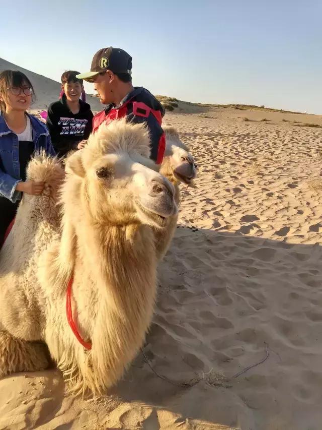 冬季奈曼沙漠旅游攻略,国庆适合去哪里的沙漠