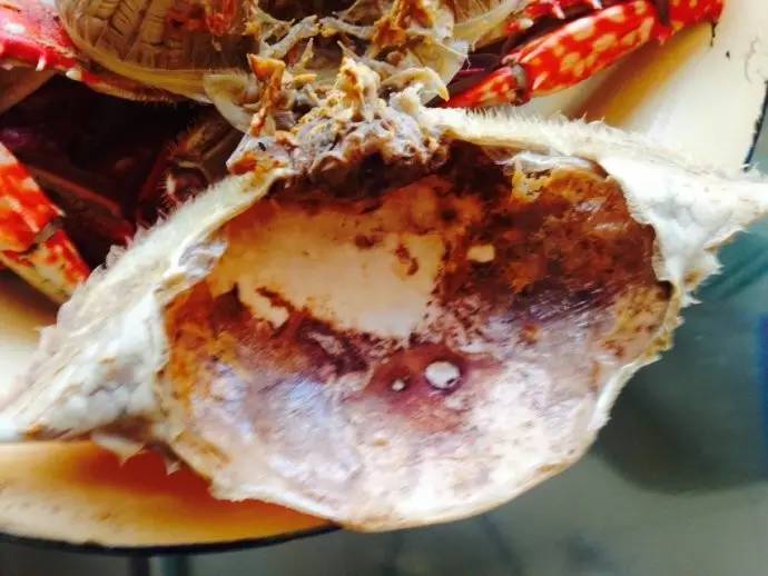 厨房小窍门：锅底“美白”、牛奶“502”使你的厨具洁白如新