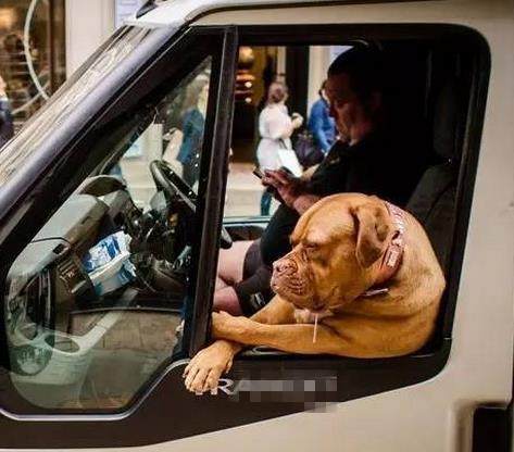 这是怎么做到的英文怎么说,这到底是怎么做到的英语