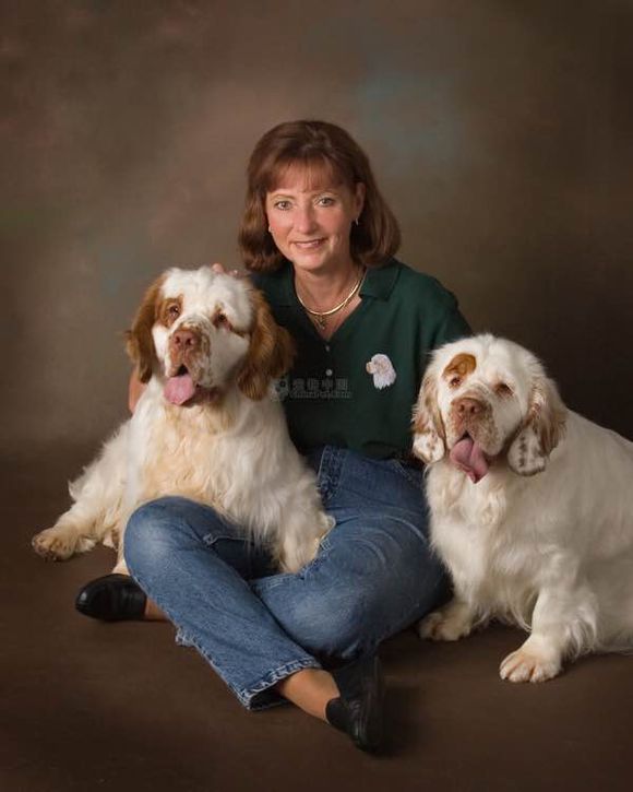 收藏狗狗的图片,收藏宠物集