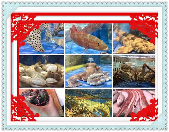 成都自驾游三亚攻略,成都自驾海南三亚旅游攻略