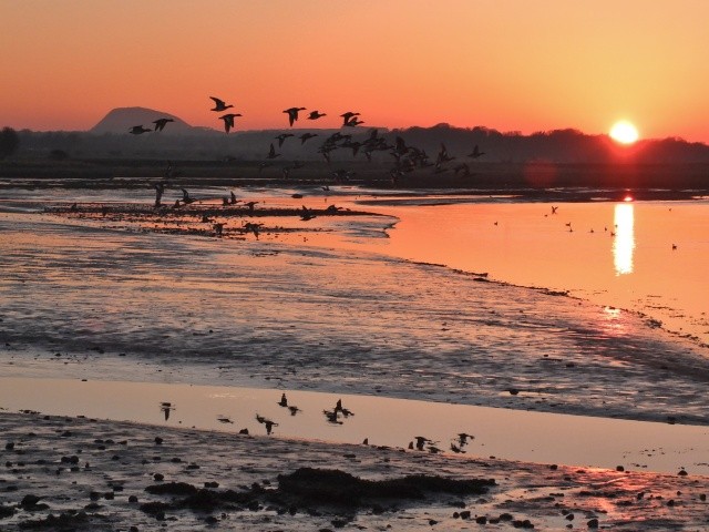 150年的坚持，换来最高品质的羊绒围巾----BeggCo