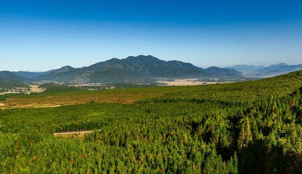 腾冲火山和热海哪个更值得去,去看腾冲火山