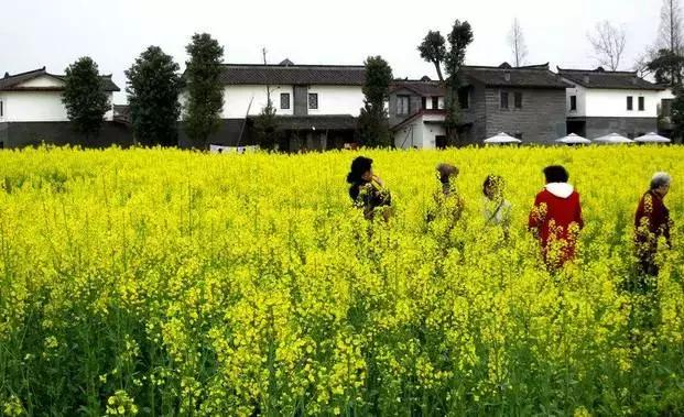 成都郫都区周边烧烤最佳景点,郫都最值得玩耍的地方