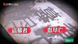 国产良心综艺完整版,口碑爆棚这部良心国产剧