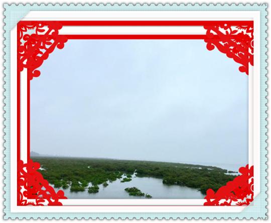 成都自驾游三亚攻略,成都自驾海南三亚旅游攻略