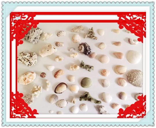 成都自驾游三亚攻略,成都自驾海南三亚旅游攻略