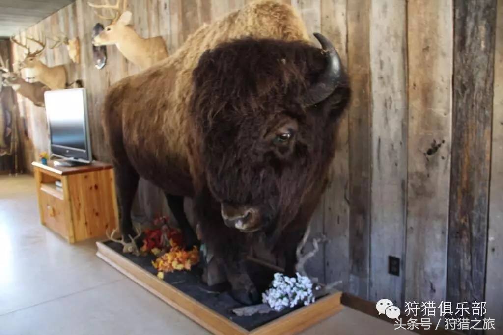 全球最具吸引力的狩猎圣地，加入高人一等的国际猎人组织！