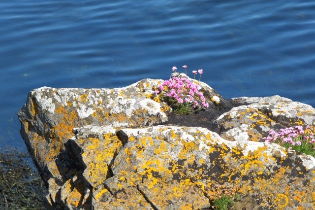 150年的坚持，换来最高品质的羊绒围巾----BeggCo