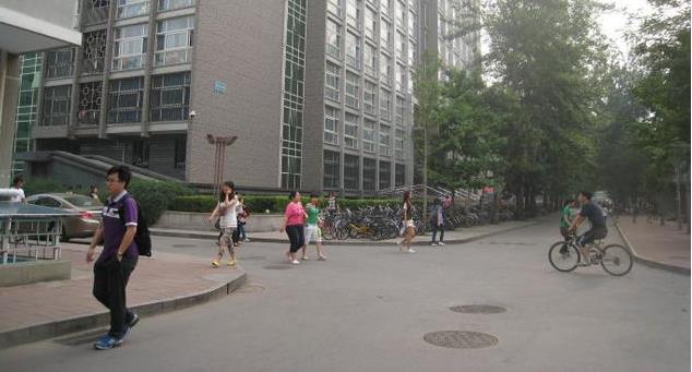 狗狗产后性情大变，追咬路人，被保安*攻围**却做出异样动作让人原谅