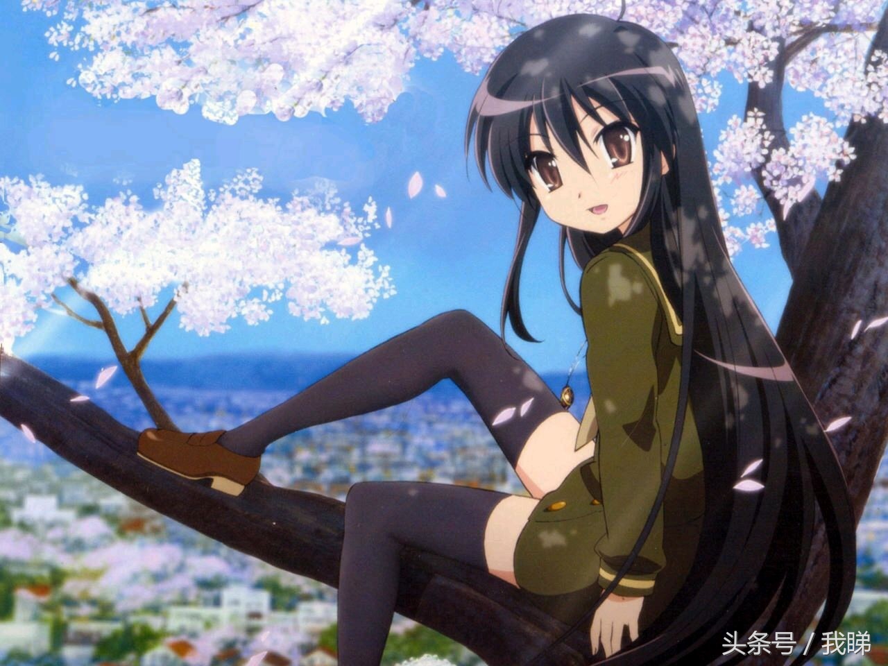 医生我的病还能治好吗日语,医生我的病还能治好吗动画