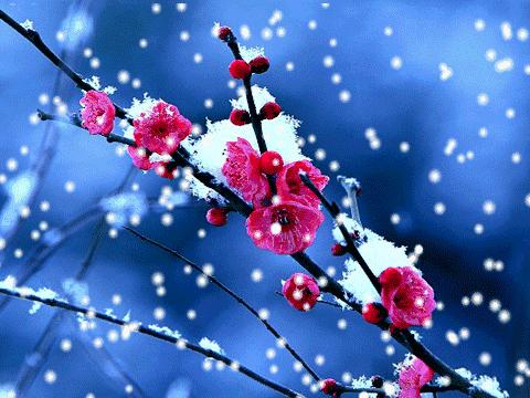 雪花随风摇曳,雪花飘起来真漂亮