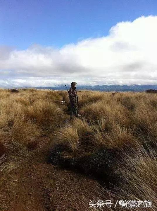 全球最具吸引力的狩猎圣地，加入高人一等的国际猎人组织！