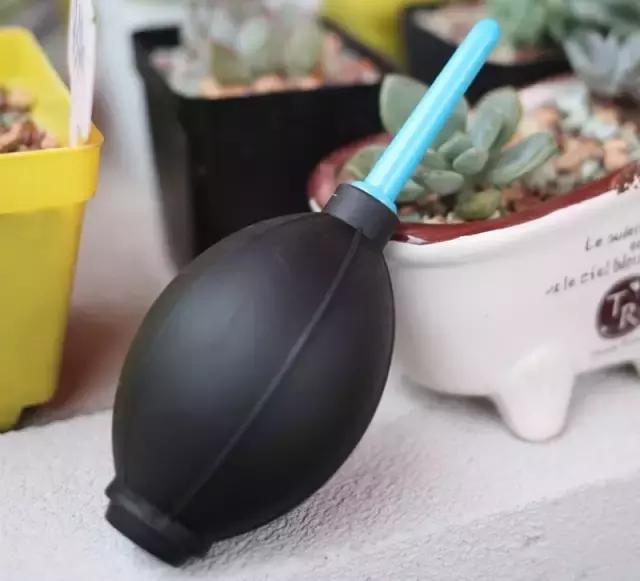 多肉专用工具大全,种多肉工具铲子