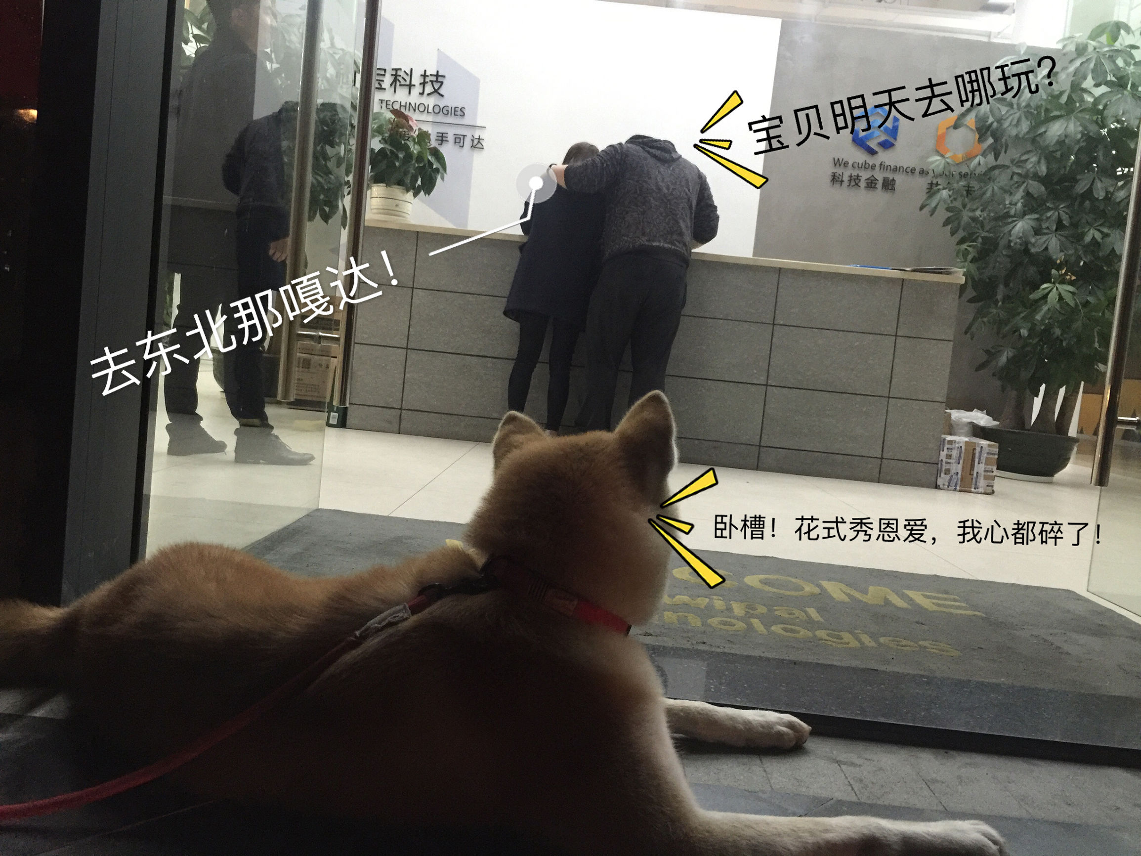 明天就是情人节了图文,明天就是情人节图片