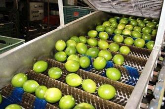 首创炸鸡配柠檬，德克士的这颗柠檬到底有多厉害