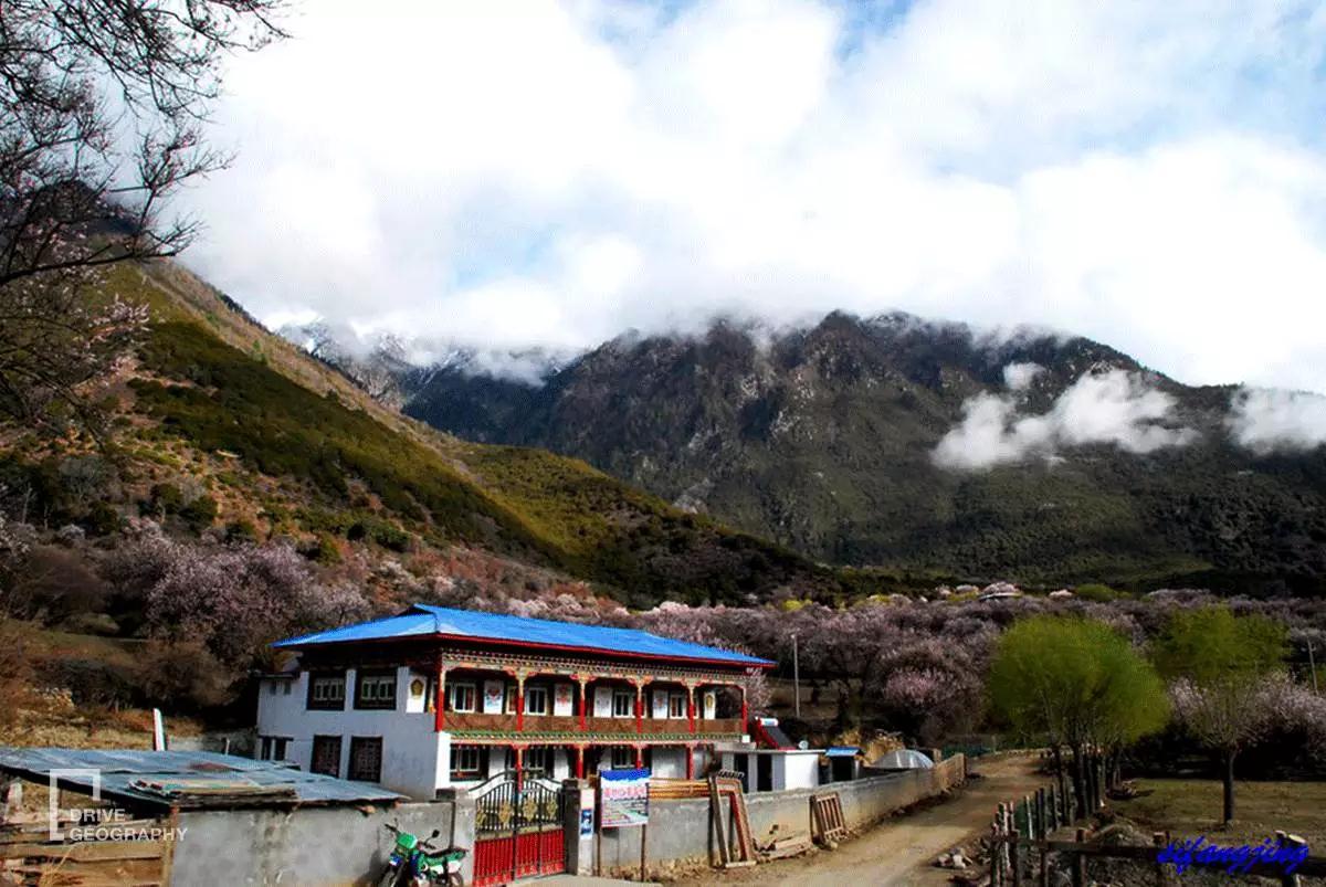 连联合国都赞不绝口的百里桃花，你真的不带她看一下吗？