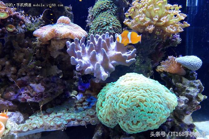 魅蓝399元的手机,魅蓝500元以下的手机推荐