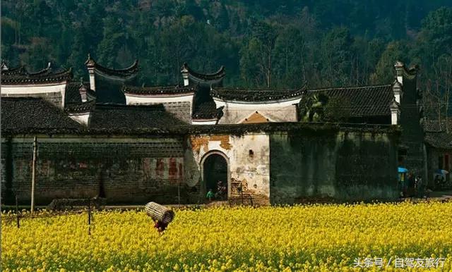 湖南赏花自驾游攻略,湖南旅游赏花攻略