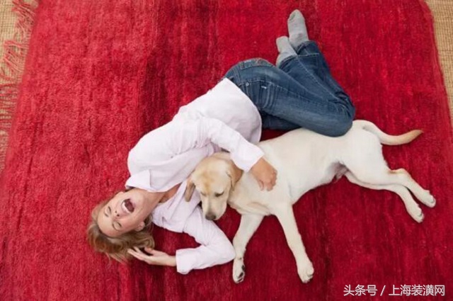 地毯清洁四种方法,地毯日常清洁方法大全图