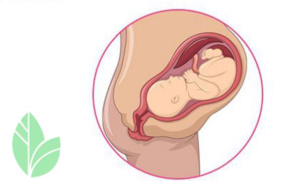 孕早期胎儿健康的症状,孕期阴道炎会影响胎儿有什么症状
