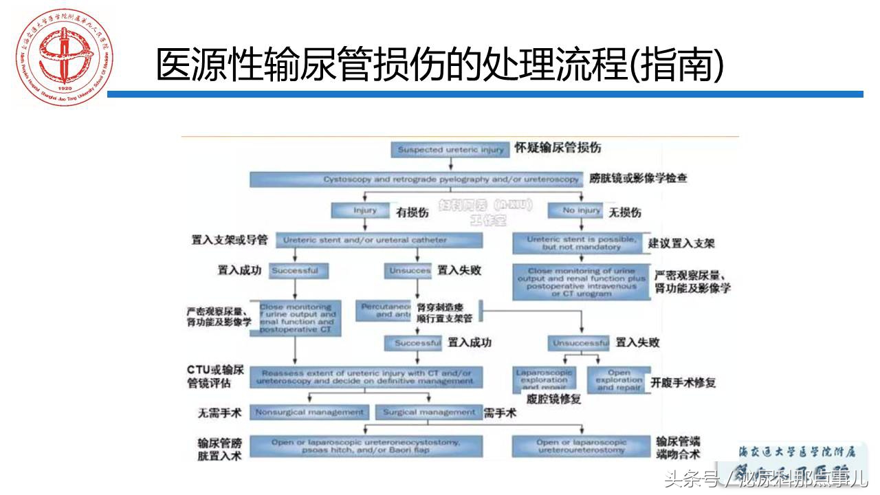 泌尿男科王忠教授,泌尿外科专家王忠教授