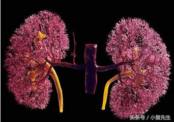 局灶节段性肾小球硬化的治疗方法,肾穿刺出来全部硬化了