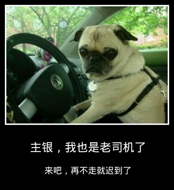 车险车损险怎么买才划算,哪些车险最划算便宜好用