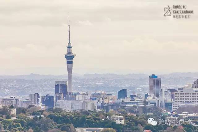 去奥克兰必做的事,去奥克兰工作要做什么准备