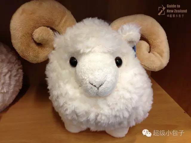 去奥克兰必做的事,去奥克兰工作要做什么准备