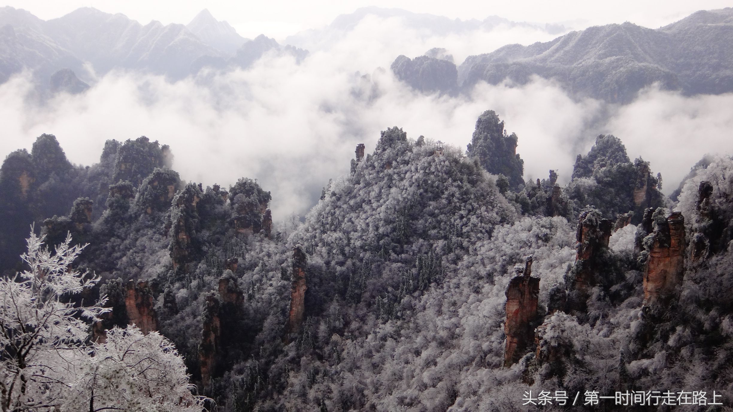 张家界浪漫之地,张家界最浪漫的婚纱