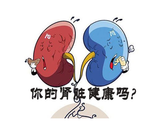 儿童慢性肾炎饮食上吃什么,慢性肾炎为什么要低磷饮食