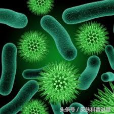 疖病科普文章,疖与疖病