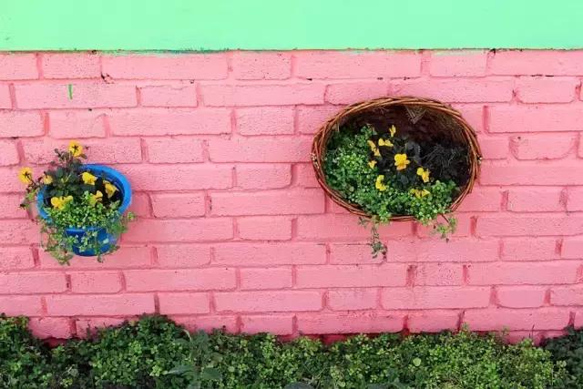 户县新西兰农场好玩吗,西安户县农场