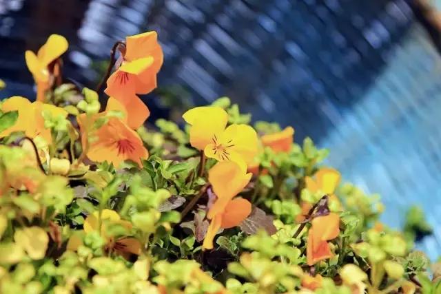 户县新西兰农场好玩吗,西安户县农场