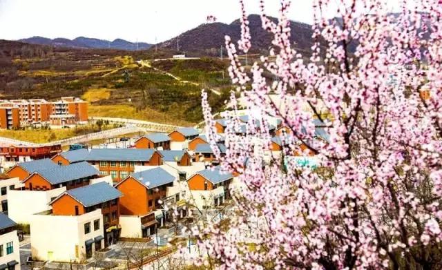 城南客运站旅游直通车,西安城南旅游班线