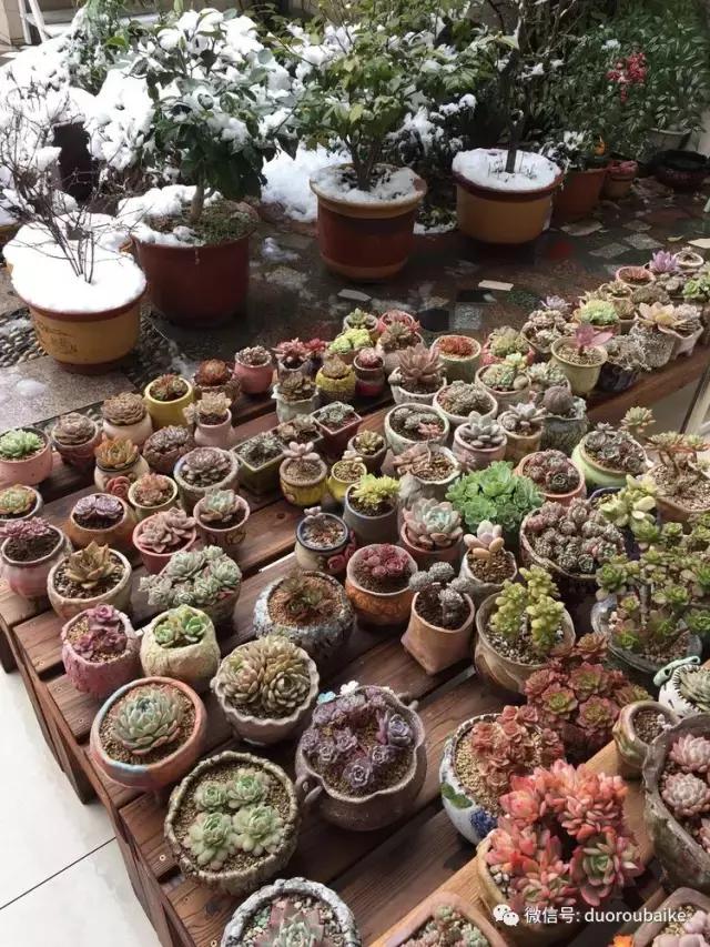 当大妈遇见帅哥,当大妈爱上邻家男孩