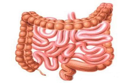 炎症性肠炎不能吃什么,慢性腹泻是肠炎吗