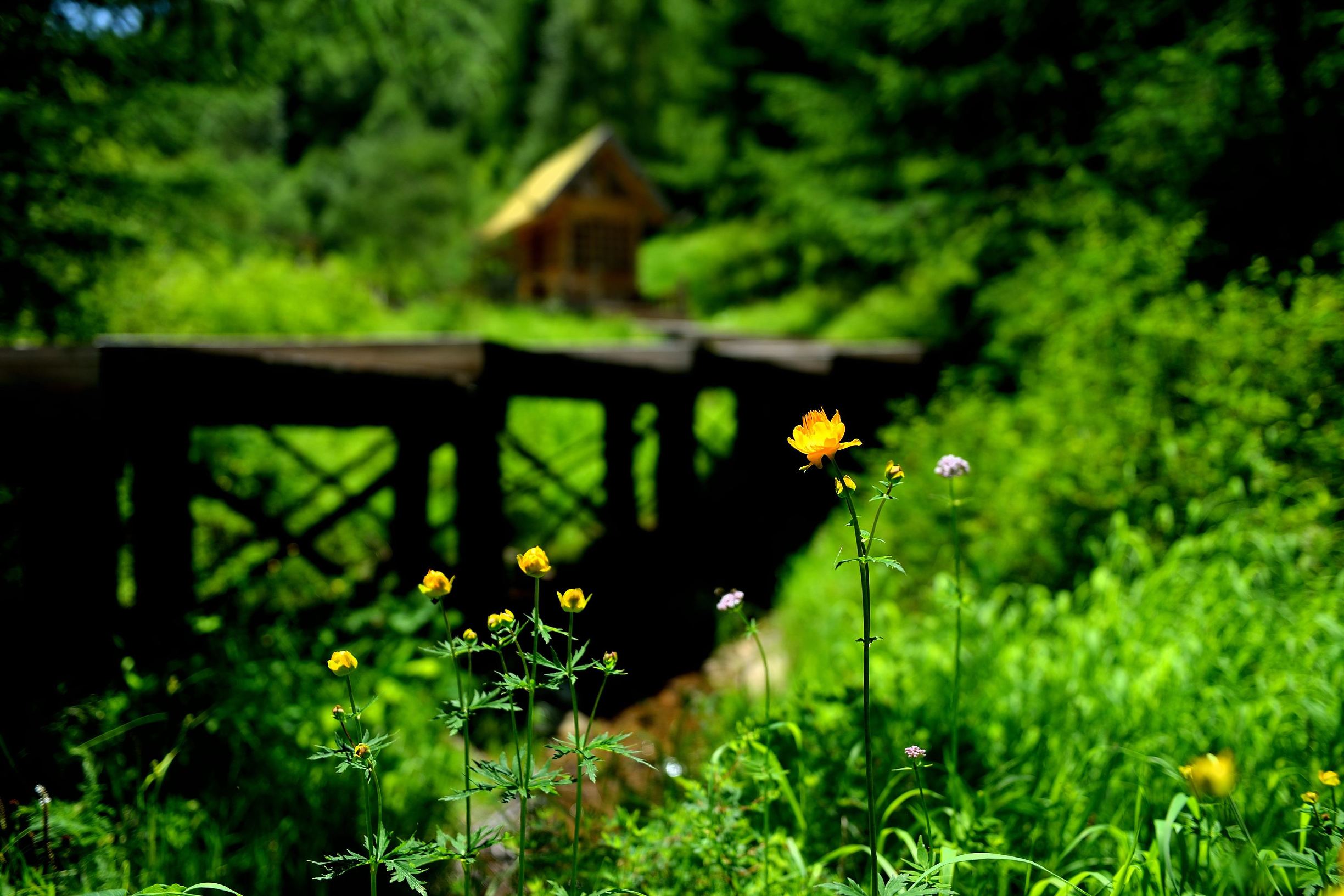 马桶堵了怎么快速疏通抽水马桶,马桶堵了如何快速疏通小妙招