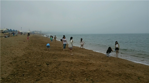 大连海水浴场旅游攻略,大连市内哪里能看海滩景点