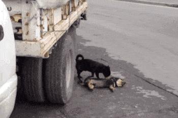 涨知识女孩太机智,涨知识女孩子