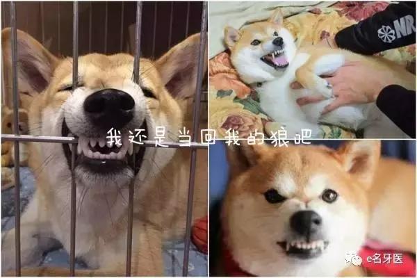 有牙洞并感觉到疼痛了,有牙洞很疼怎么办