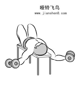 新手哑铃健身计划一周表,哑铃健身计划及标准动作图